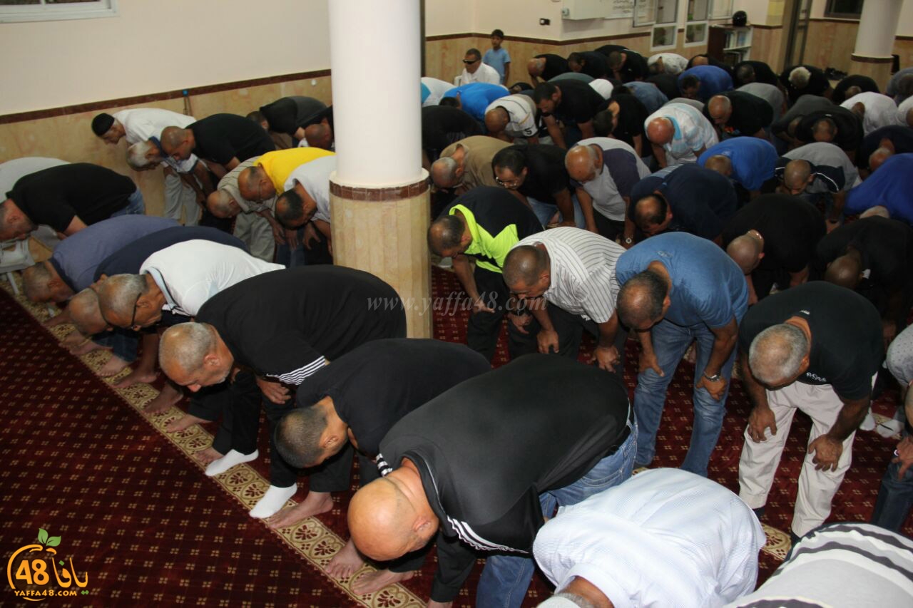 tarawe7 jamaki (6).jpg